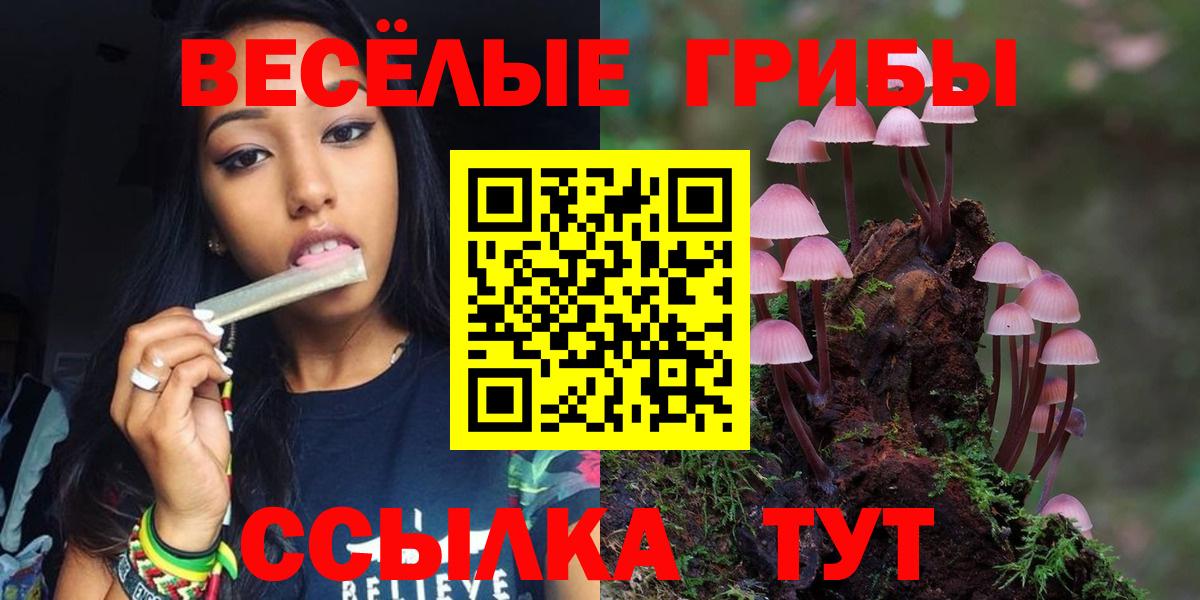 Галлюциногенные грибы Psilocybe  Псилоцибиновые грибы ЛСД  Вход с VPN  Кировск 